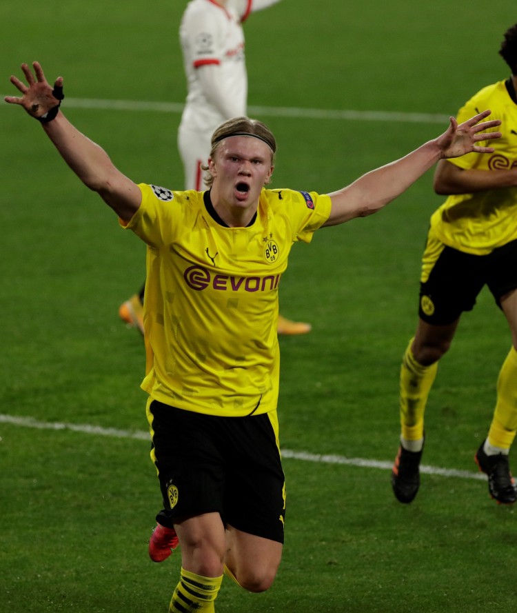 的名字早已 的名字早已